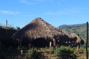 VattavadaEKa Forest的茅草屋顶的小屋