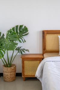 a bedroom with a bed and a potted plant at Sansun Guesthouse in Mirissa +25 photos