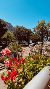 un jardín con flores rojas y una valla en Villa Luisetta Palmi, en Palmi