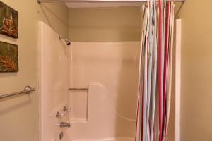 a bathroom with a shower and a shower curtain at Bear Pause in Blowing Rock +10 photos