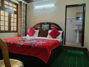 a bedroom with a bed with red pillows and a sink at Hotel classic kuppa sangla in Sāngla