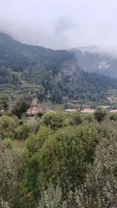 a view of a mountain with trees and bushes at Hotel classic kuppa sangla in Sāngla