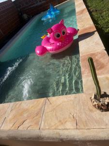 Ảnh trong thư viện ảnh của La casa de Itaembe ở Posadas