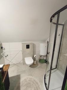 a bathroom with a toilet and a glass shower at Domek Wrzos in Brenna +5 photos