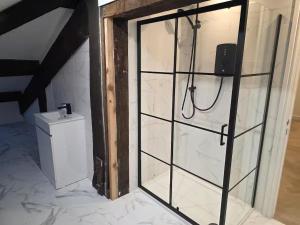 a bathroom with a shower and a toilet at Liverpool Penthouse - Sleeps 8 - City Centre in Liverpool