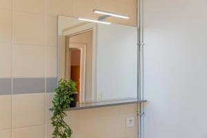 Un espejo en un baño con una planta en un estante. en Le Lahitolle, en Bourges