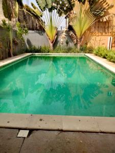 Swimmingpoolen hos eller tæt på CNS Guest House