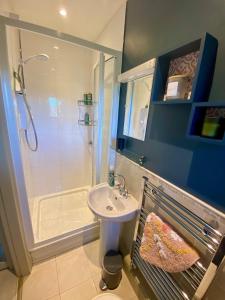 a bathroom with a shower and a sink and a toilet at The Garden Room at Warren House in Arncliffe