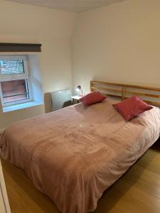 a bedroom with a large bed with two red pillows at La Pistacherie à 30m de la plage de Grande Rive in Évian-les-Bains
