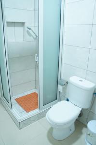 a bathroom with a toilet and a shower at Ilidia Guest House in Sal Rei