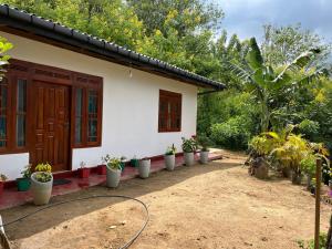 Κήπος έξω από το Tea Heaven Retreat