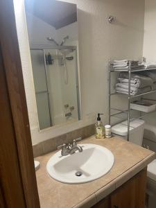 Un baño con lavabo, ducha e inodoro. en Mystic Ivy, en Marblemount 15 fotos más