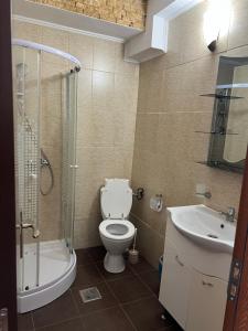 a bathroom with a toilet and a sink and a shower at Pensiunea Olympia Nădab in Nădab +21 photos