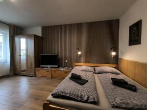 a bedroom with a large bed and a television at Apartmány Pekárna in Staré Město