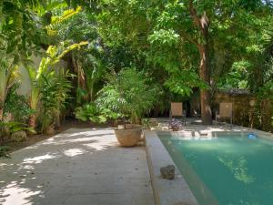 a swimming pool in a garden with trees at Casa Arabe - Yucatan Home Rentals in Mérida