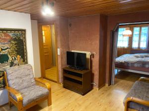 a living room with a tv and a chair at Le Manoir d'Anniviers in Zinal