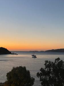 Φωτογραφία από το άλμπουμ του New Aegli Resort Hotel στον Πόρο