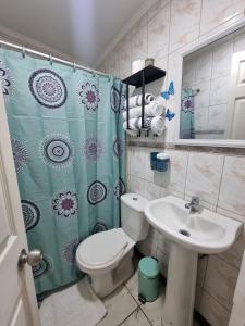 a bathroom with a toilet and a sink and a shower at El chalet del Gato, Loft en hermoso barrio central Viña del Mar in Viña del Mar