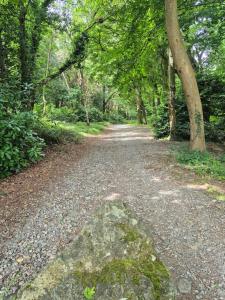 a dirt road in a wooded area with trees at Bobbi's Bothy in Newcastle