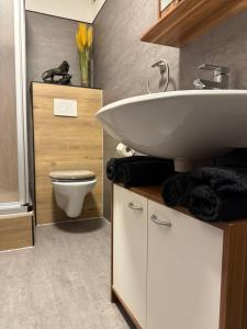 a bathroom with a sink and a toilet at Gemütliche Wohnung, Heimkino, Couch & Küche in Siegen