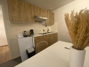 Η κουζίνα ή μικρή κουζίνα στο Appartement chaleureux au cœur de la Bresse