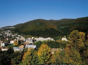 A general mountain view or a mountain view taken from a szállodákat