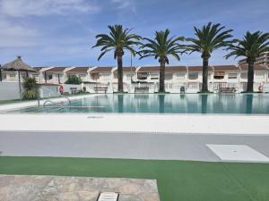 a swimming pool with palm trees in a resort at Penismar Paradis in Peniscola