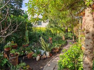 Zahrada ubytování A Jungle House