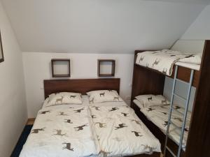 a bedroom with two bunk beds and a ladder at Rupicapra Holiday Mountain House in Kostel