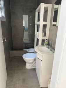 a bathroom with a toilet and a sink and a shower at Saladillo House in Saladillo