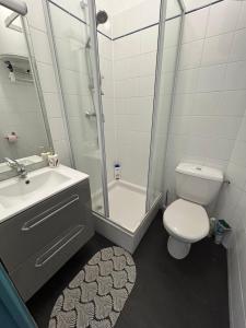 un bagno con wc, doccia e lavandino di Studio dans l'ancien Palace du Mont-Dore a Le Mont-Dore Altre 6 foto