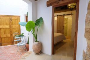 a room with a plant in a vase next to a door at Ca La Portella in Jávea