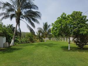 un parc avec des palmiers et de l'herbe verte dans l'établissement Villa El Lago en Villas Camino Real cerca de las dunas de Chachalacas, à Ursulo Galván