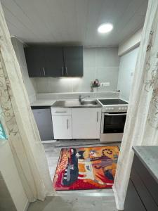 eine Küche mit Spüle und einem Teppich auf dem Boden in der Unterkunft LE COCON - Calme et Ressourcement in Rouffach