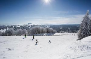 Longevilles-Mont-dʼOrにあるAppartement 1 chambreの雪面下スキーの集団 +5枚の写真