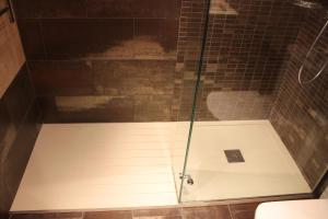 y baño con ducha y puerta de cristal. en Apartamento Monte Río, en Peñamellera Alta
