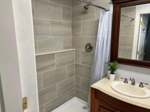 un baño con lavabo y ducha en Inn By The Park Morrisburg, en Morrisburg 12 fotos más