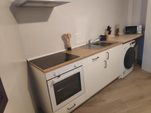 una cocina con fregadero y lavadora en Paco del Molino 2, en Grazalema