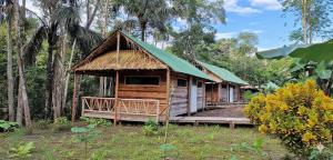 una cabaña en el bosque con techo verde en Paroá Amazon Lodge, en Manacapuru