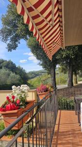 eine Terrasse mit Blumen in Töpfen und einem Sonnenschirm in der Unterkunft Casa Cornelia in Lucolena in Chianti + 4 Fotos