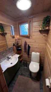 a bathroom with a toilet and a sink at Cozy Arctic Lakeside Cottage with private sauna in Pello +45 photos
