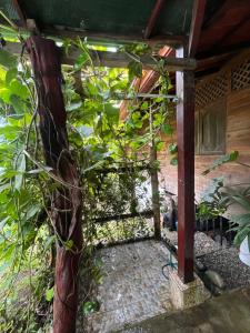 Un área exterior de una casa con un árbol. en Cocles House, en Talamanca