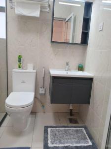 a bathroom with a toilet and a sink and a mirror at Imani Homes in Nairobi +5 photos