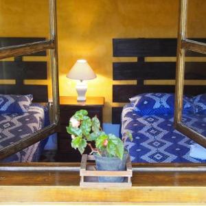 a bedroom with two bunk beds and a potted plant at Casa Calvario in Antigua Guatemala