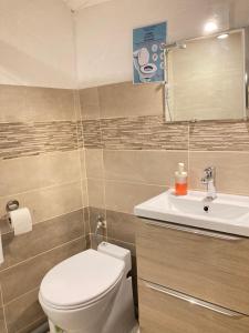 AscouにあるLa Lauze Ascouのトイレと洗面台付きのバスルーム +21枚の写真