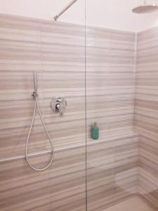 a shower with a hose attached to a glass wall at SAN FELICE 135 - 2 in Bologna +17 photos