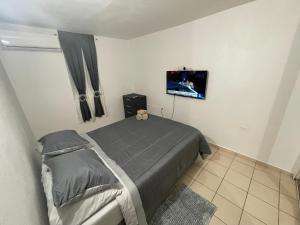 a bedroom with a bed and a flat screen tv at Cozy Basic Apartment in Levittown in Levittown