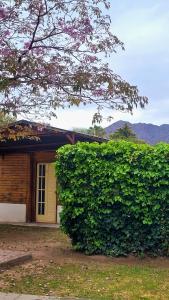 una casa con una puerta amarilla y un seto grande en El Lapacho Cabañas, en San Agustín de Valle Fértil