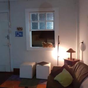 un cane seduto alla finestra di un soggiorno di Hospedagem Casa do Bem Ficar a Lumiar