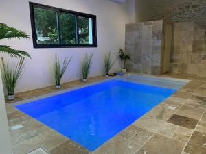 a blue swimming pool in a room with plants at Studio Cosy dans les granges d un château accès spa in Varennes Vauzelles